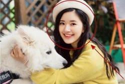 赵露思微博,展现清新魅力