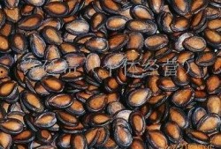 热门大瓜子,零食界的明星产品